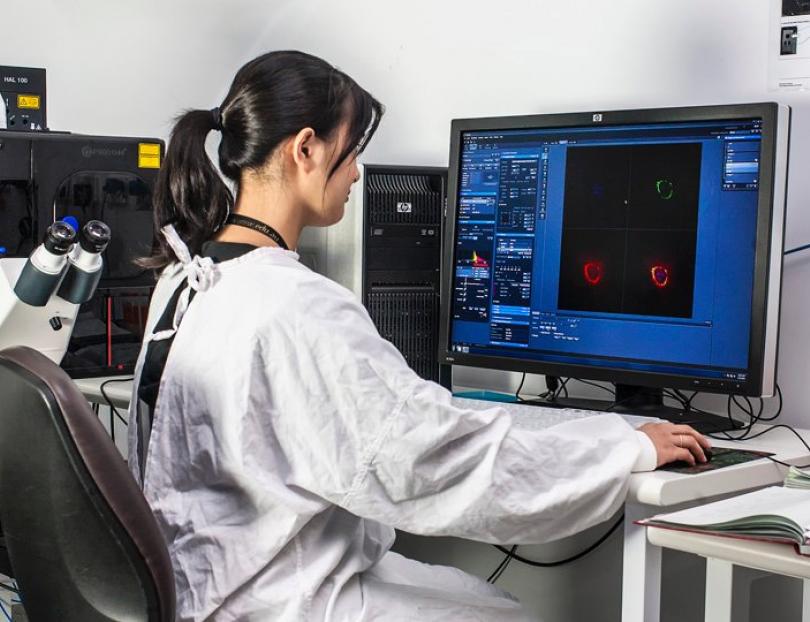 zeiss confocal microscopy