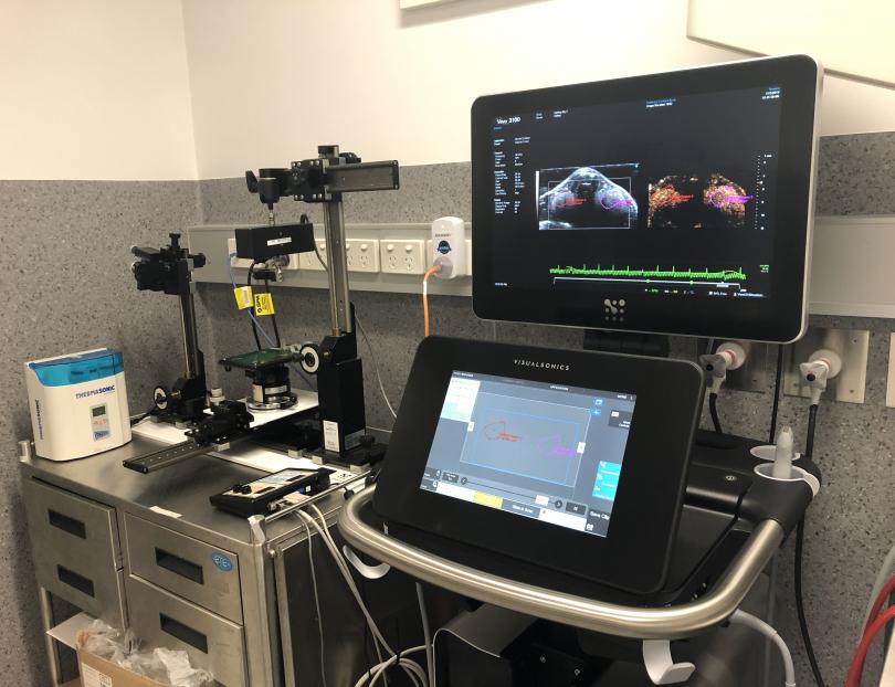 VisualSonics Vevo 3100 Ultrasound | UNSW Mark Wainwright Analytical Centre