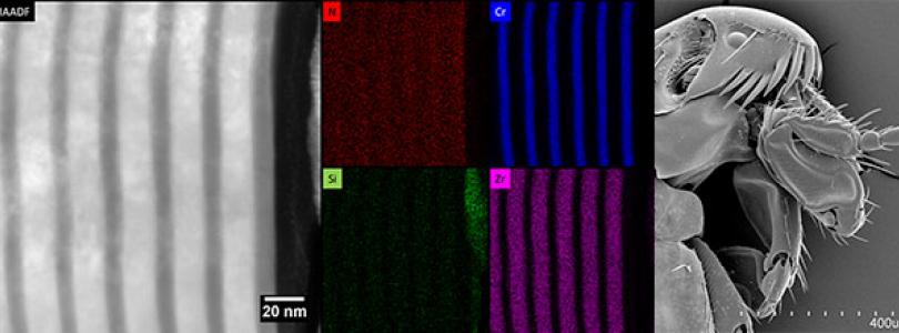 High resolution TEM image with EDS plus flea image